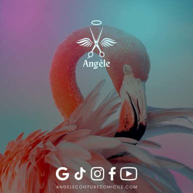 Flamant Rose